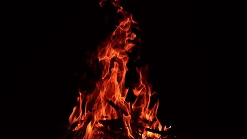 Dry wooden sticks burning well in a big campfire. Large bonfire on the ground burn at night.