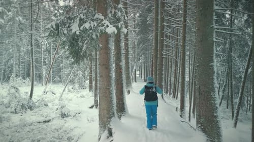 Female in winter extreme sportswear walking in snowy forest through pine trees