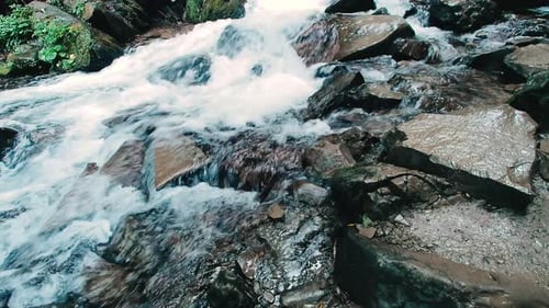 Waterfall Stream Running Fast in Mountain Green Forest