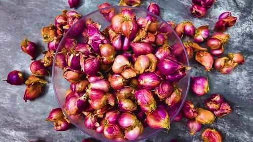 Onions on a Bowl - Rotating - Anti-Clockwise Direction