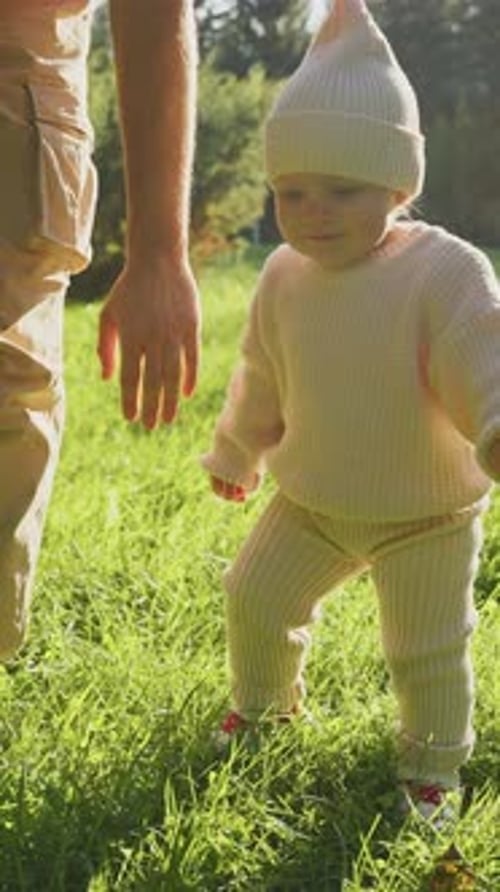 Cute Toddler Takes First Steps in Sunlit Grassy Meadow During Family Outing