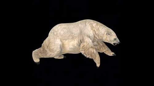 Polar Bear Run Idle