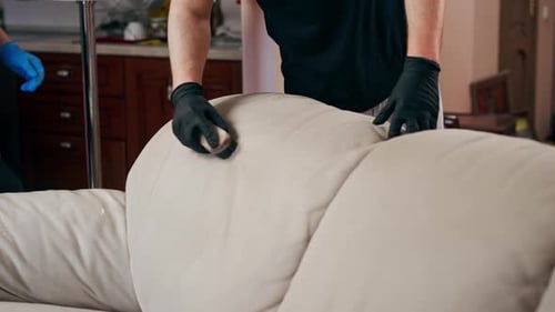 Close Up Professional Cleaning in an Apartment the Cleaner Cleans a Textile Sofa with a Brush and