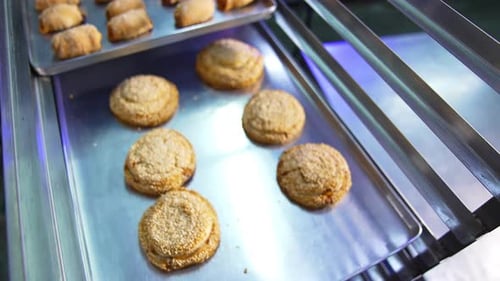 Delicious fresh well- baked pastry put on baking sheets. Sweet desserts manufacturing at bakery.