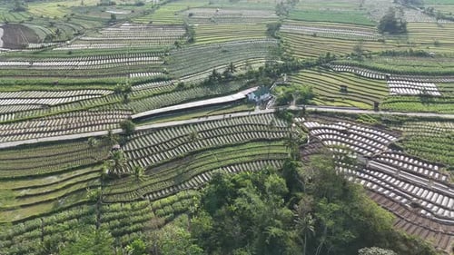 natural scenery of Indonesia