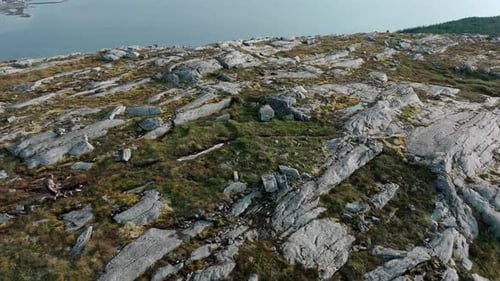 A Man Walking his Dog in the Vicinity of Rissa and Hasselvika, on his way to Blaheia Mountain in Nor