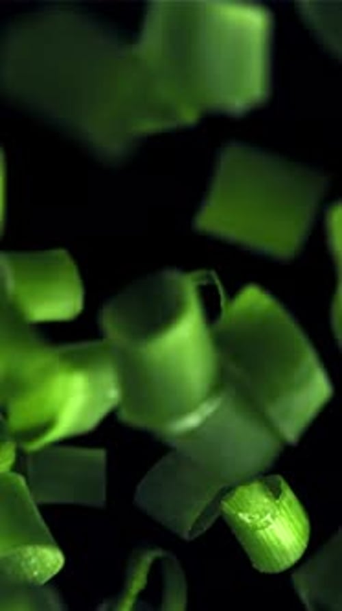 Sliced Green Onions Fly Up and Fall Down Filmed on a Highspeed Camera at 1000 Fps