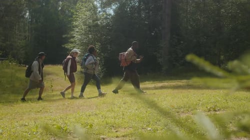 Friends Hiking in Forest on Sunny Day