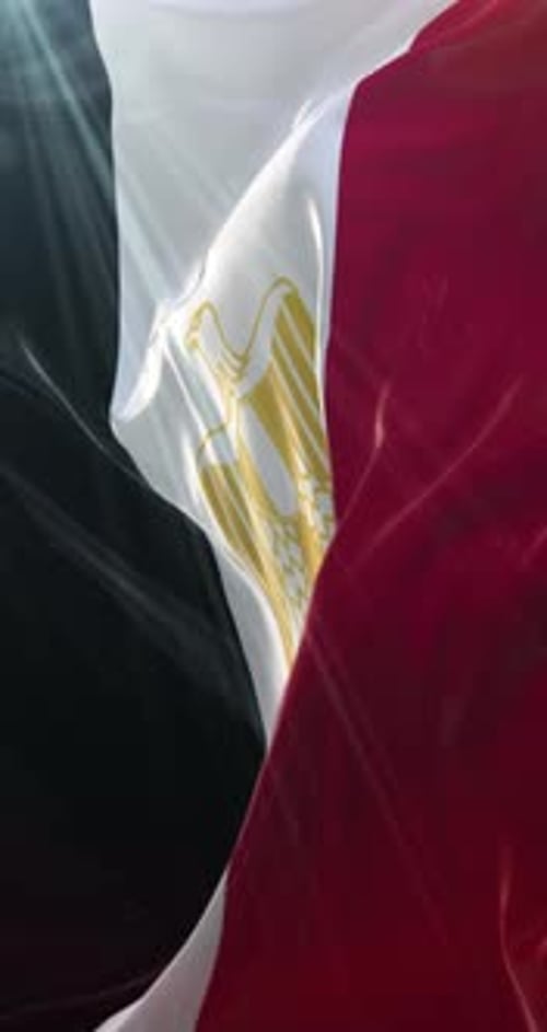 Waving Egyptian Flag Seamless Loop Vertical Video Background