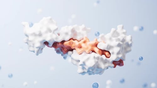 Estructura proteica con concepto biológico