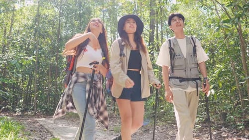 Grupo de mochileiros asiáticos se divertindo viajando juntos pela floresta.