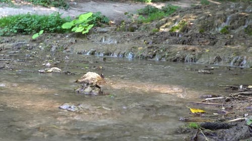 A small stream of water flowing continuously, which is very relaxing.