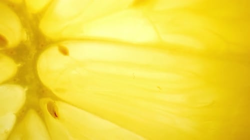 Vibrant Yellow Lemon Slice Zooming In