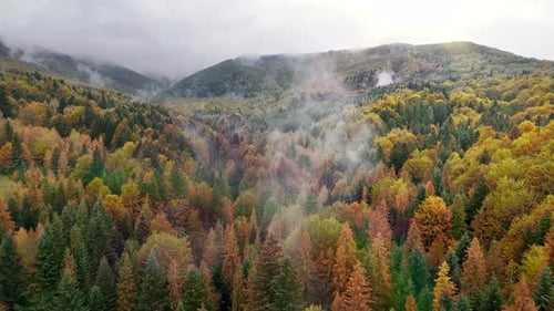 An Aerial View of a Vibrant Forest in Autumn with Stunning Colors and a Light Fog