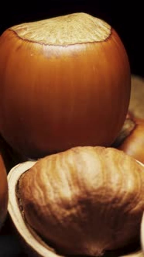 Hazelnuts on a black background rotate in a heap with other nuts. Close-up. Vertical video.