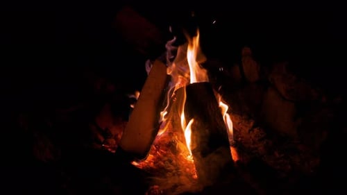 Cam Fire