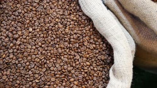 Fresh Coffee Beans Selling at Istanbul Street