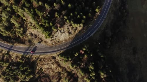 Aerial Shot of Winding Road Cutting Through a Lush Forest