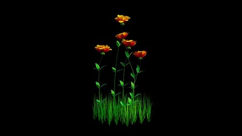 Flowers Yellow Growing Alpha Channel