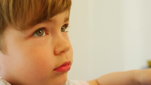 Young Child Looking Attentively Indoors