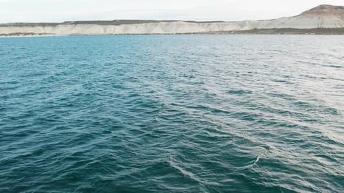 Whale Breaching off Puerto Piramides, Argentina