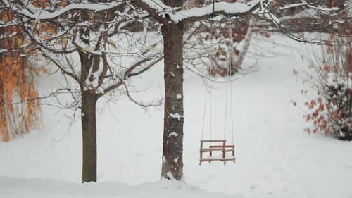 A swing hangs from the sturdy branch of a tree. Snow blankets the ground and trees, creating a seren