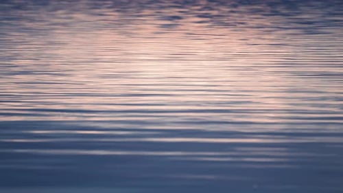Des vagues et des ondulations à la surface de l'eau. La lueur du soleil couchant se reflète sur le relief