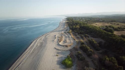 Empty Beach Coast Near Pine Forest In Summer