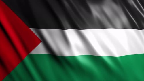Realistic Waving Palestine Flag