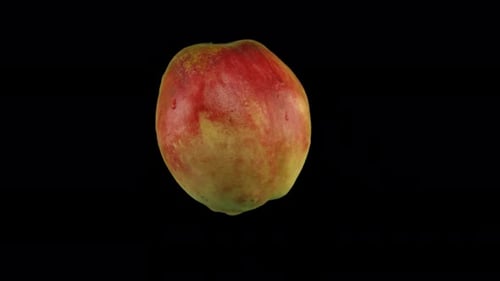 Nectarina