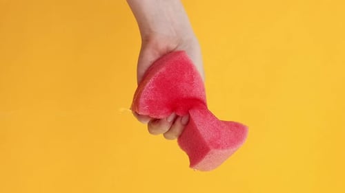 Vertical Washing Tools Woman Hand Pink Wet Sponge