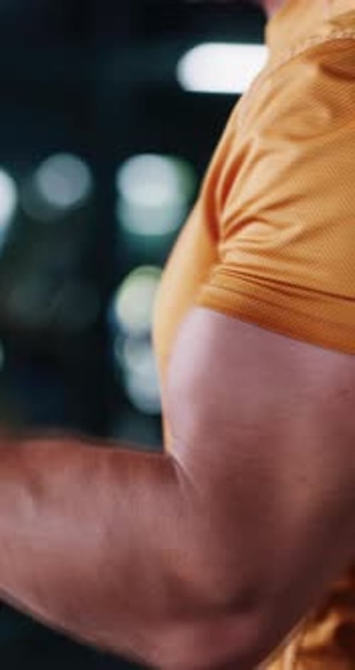Sports, weights and man in gym with workout, bodybuilding or training for strength