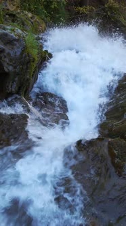 Un doux ruisseau de montagne coule paisiblement sur les rochers et la végétation luxuriante qui l'entoure