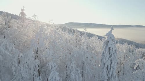 View of a Beautiful Landscape on a Clear Winter Day in the Mountains at Sunrise
