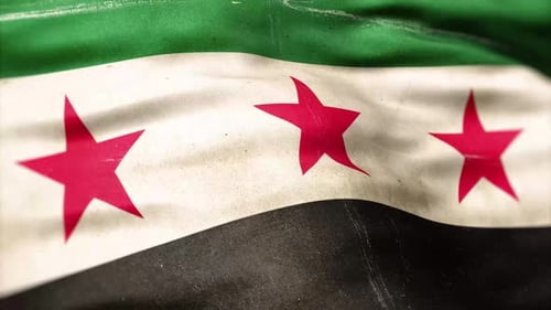 Gritty Waving Flag with Green White Black and Red Stars