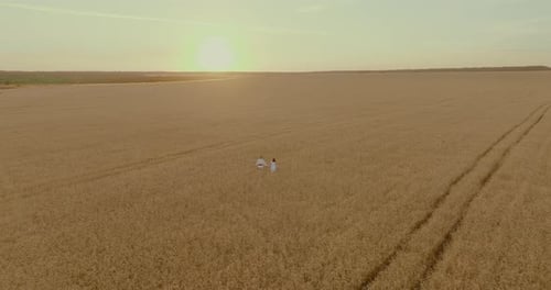 Aerial View Slavs People Walking Through a Wheat Field