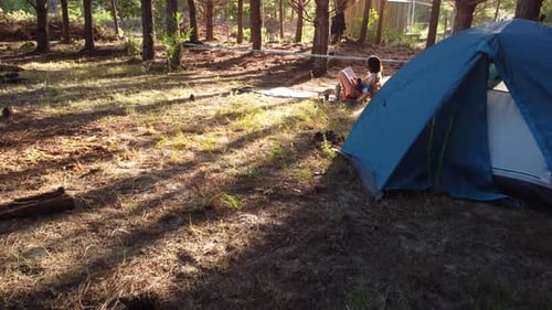 Young Woman Resting Reading Book In Camp Near Blue Tent In Wild Pine Forest