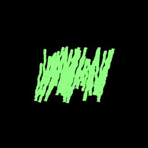 Hand-Drawn Green Sketch Scribble Reveal Animation