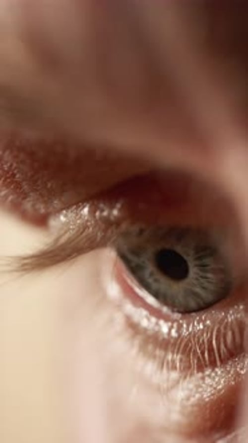 Close-Up Of Gray-Colored Eye Looking Around