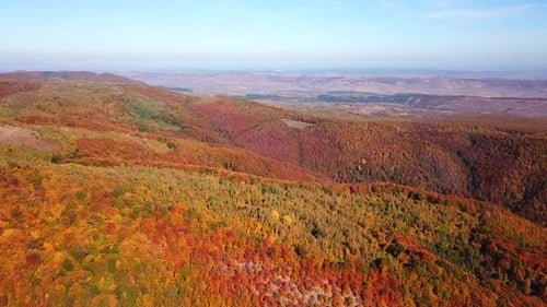 Aerial view of a colorful autumn mountain forest