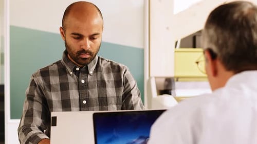 Close Up of Businesspeople Working on Laptop in Office Adult