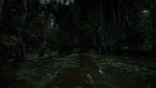 Silent Mangrove at Dusk Dark Waters Mirror Mysterious Forest Shadows