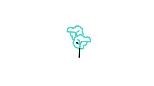 Flat Design Line Art Tree Growth Animation