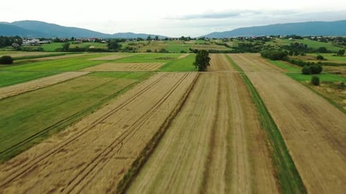 High speed aerial view of fields and mountains in the background.