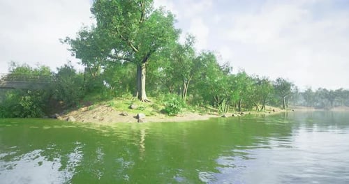 Lush Green Trees Along a Serene Riverbank Under a Clear Sky