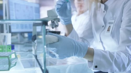 Scientists Analyzing Mice in Lab Research Experiment