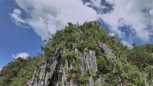 Überwachsene Felsen im Dschungel der Insel Palawan, Philippinen