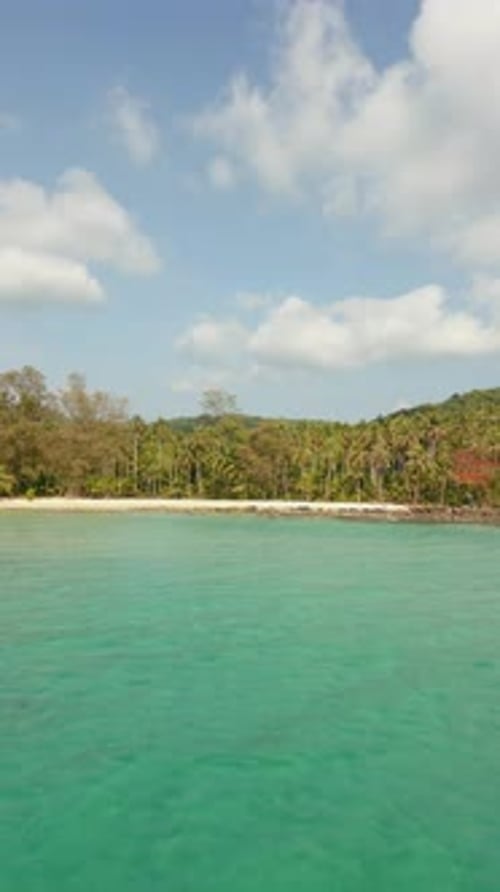 Ein weißer, leerer Strand, kristallklares Wasser und Kokospalmen auf einer Insel