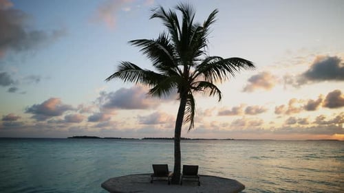 Palm Tree on a Sunset in the Maldives