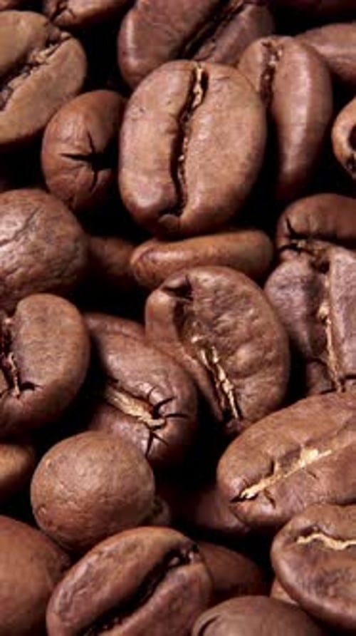 Close Up of Fresh Roasted Coffee Beans